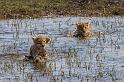 021 Botswana, Okavango Delta